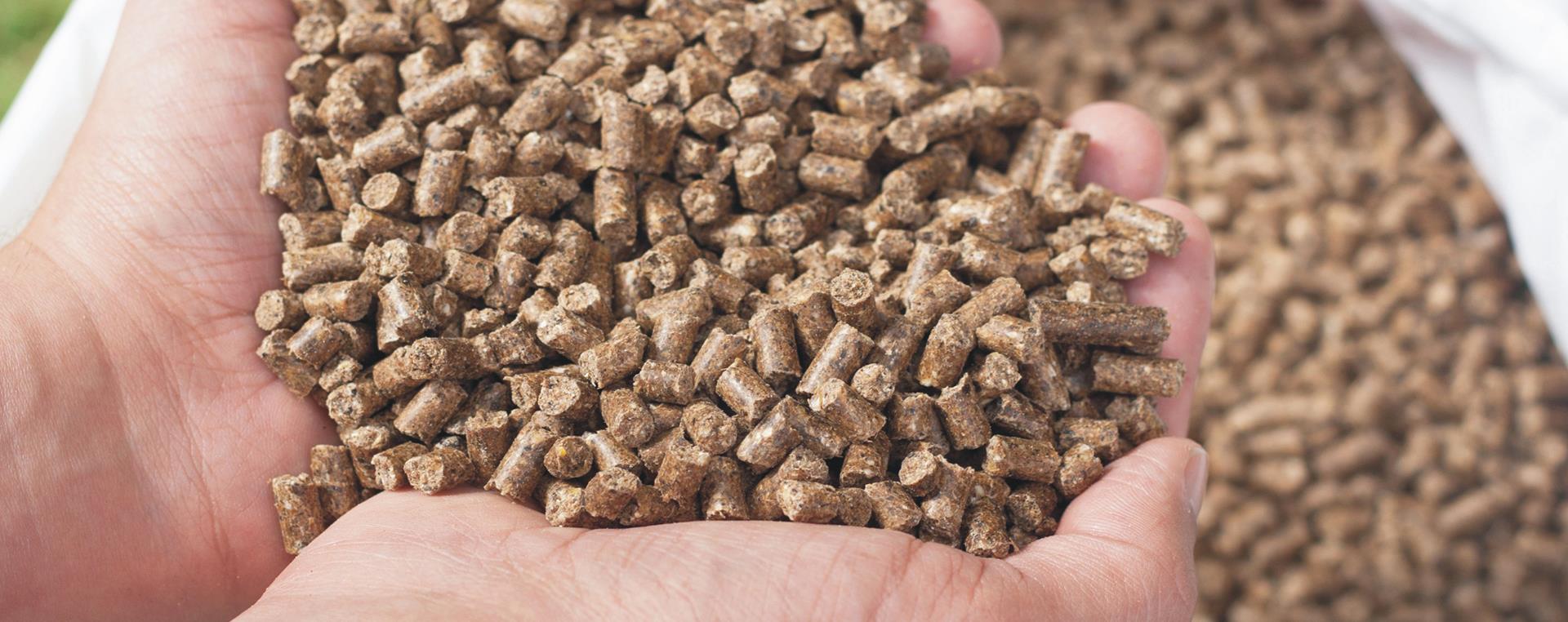 Animal Feed